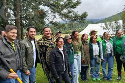Legisladores del PVEM se suman al llamado de reforestación de Delfina Gómez